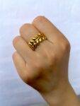 leafyy ring 500